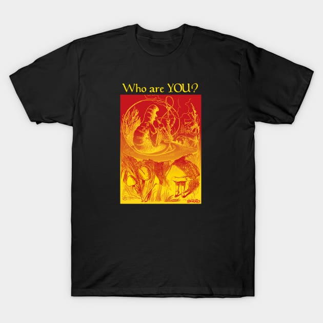 Who are YOU?-2 T-Shirt by BonzoTee